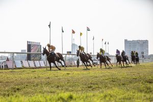 Best Horse Racing Apps Tricks: Pro Tips to Win in India (2026)